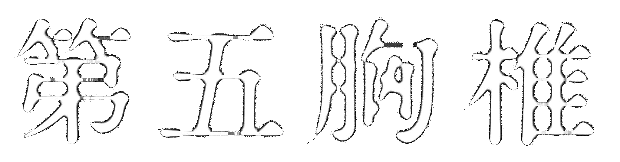 第五胸椎